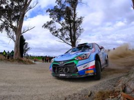 Hayden Paddon, Otago Rally 2019